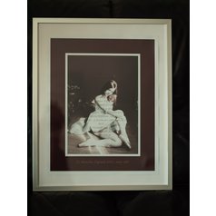 1. Autorská umělecká fotografie, Moje Víla