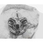 2. Amulet z chirurgické oceli Hlava keltského berana