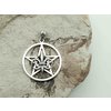 2. Stříbrný přívěsek Pentagram a Fleur de Lis